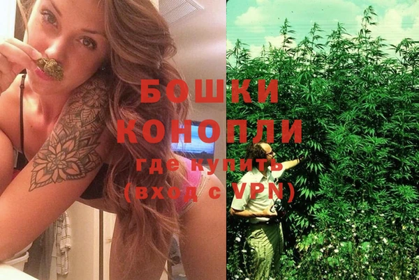 шишки Волосово