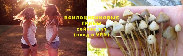 шишки Волосово