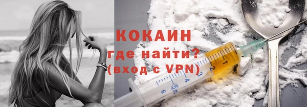 шишки Волосово